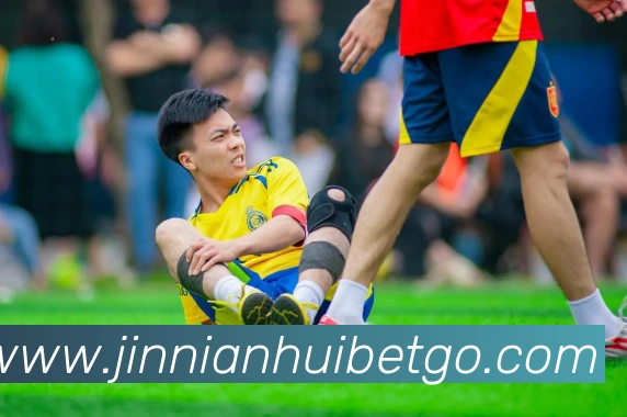 金年会平台生态图